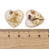 Transparent Resin Cabochons RESI-K033-12A-3
