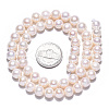Natural Cultured Freshwater Pearl Beads Strands PEAR-N016-07A-6