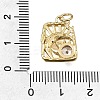 Brass Pave Clear Cubic Zirconia Pendants CU-CBAEEA8-31G-3