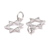 Brass Micro Pave Clear Cubic Zirconia Charms KK-G418-01P-3