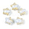 Transparent Resin Enamel Beads RESI-N043-02B-1