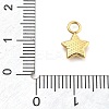 Ion Plating(IP) 304 Stainless Steel Charms STAS-P379-06C-G-3