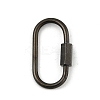 Ion Plating(IP) 304 Stainless Steel Screw Carabiner Lock Charms STAS-H107-04D-B-1