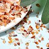Natural Carnelian Chip Beads LS-X-G-O103-18-4
