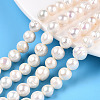 Natural Cultured Freshwater Pearl Beads Strands PEAR-S020-F11-1