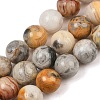 Natural Crazy Lace Agate Beads Strands G-S259-38-10mm-2