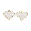Brass Enamel Pendants KK-I358-002G-B-2