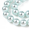 Glass Pearl Beads Strands HY-G002-01F-12-2