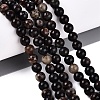 Natural Biotite Beads Strands G-Q616-01B-1