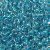 6/0 Transparent Inside Colours Glass Seed Beads SEED-P006-01A-08-3