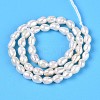 Natural Cultured Freshwater Pearl Beads Strands PEAR-T006-07-3