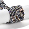 Natural Sodalite Beads Strands G-J400-A06-01-1