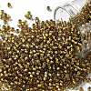 TOHO 11/0 Round Beads X-SEED-TR11-0389-1