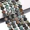 Natural African Turquoise(Jasper) Beads Strands LS-G-N257-24A-05-1