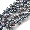 Dyed Natural Cultured Freshwater Pearl Beads Strands PEAR-A006-28A-X-2