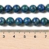 Natural Sesame Jasper/Kiwi Jasper Beads Strands X-G-L614-A01-01-5