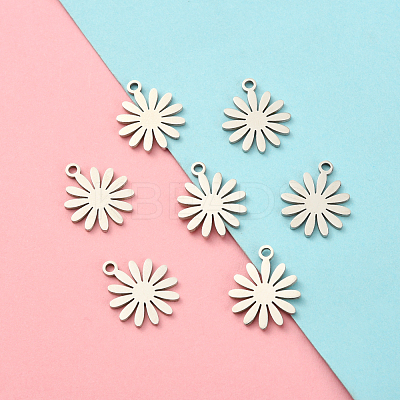 201 Stainless Steel Charms STAS-CJ0002-07-1