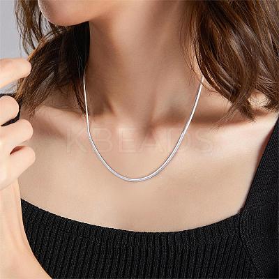 Simple Long Chain Necklace Stainless Steel Sweater Necklace Adjustable Chain Necklace Bold Snake Chain Necklace Trendy Statement Necklace Neck Jewelry for Women JN1102A-1