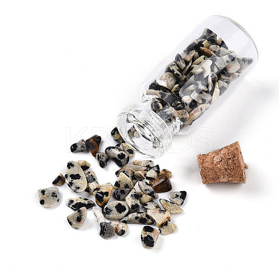 Glass Wishing Bottle Display Decorations AJEW-T013-02C-1