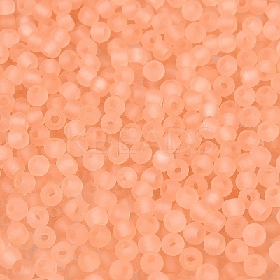 FGB Frosted Transparent Glass Seed Beads SEED-N013-02A-04-1
