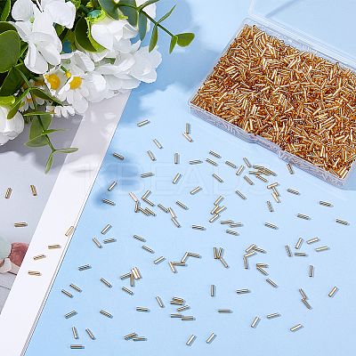 2000Pcs Glass Bugle Beads SEED-DC0001-14B-1