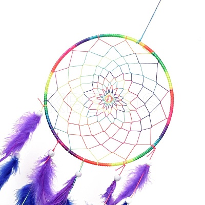 Chakra Theme Iron Woven Web/Net with Feather Pendant Decorations AJEW-B016-03-1
