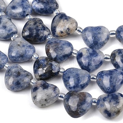 Natural Blue Spot Jasper Beads Strands G-NH0069-A08-1
