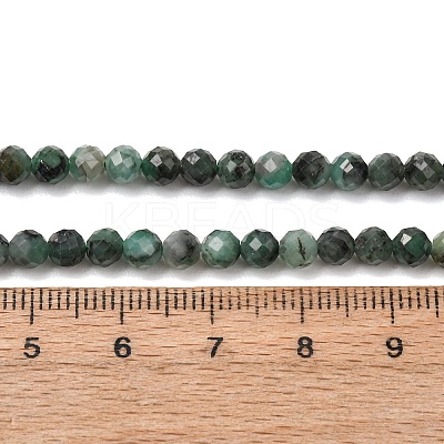 Natural Emerald Beads Strands G-T141-63B-1