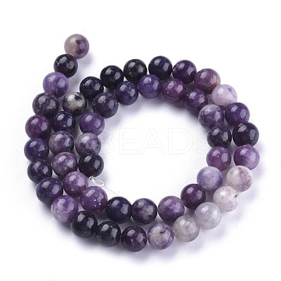 Natural Lepidolite/Purple Mica Stone Beads Strands X-G-K415-8mm-1