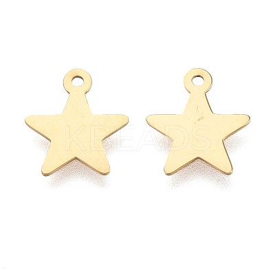 Ion Plating(IP) 304 Stainless Steel Pendants STAS-T064-78G-1