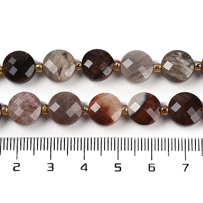 Natural Petrified Wood Beads Strands G-B094-A10-01-1