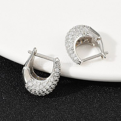 Oval Brass Micro Pave Clear Cubic Zirconia Hoop Earrings EJEW-S277-10P-A-1