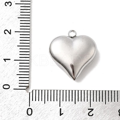 304 Stainless Steel Pendants STAS-B113-04C-P-1