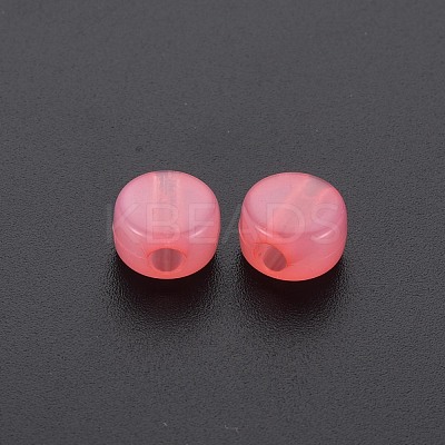 Transparent Acrylic Beads MACR-S373-05E-03-1