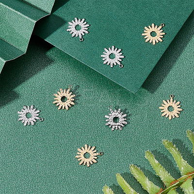 8Pcs 2 Styles 304 Stainless Steel Charms STAS-UN0035-77-1