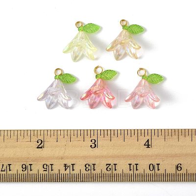 50Pcs Transparent Acrylic Pendants PALLOY-FS00043-04-1