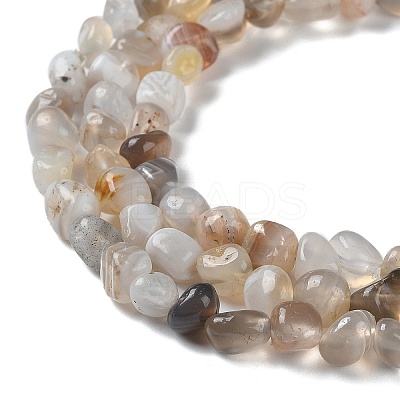 Natural Botswana Agate Beads Strands G-D081-A03-1