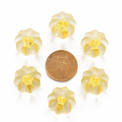 Transparent Acrylic Beads TACR-S154-19A-81-1