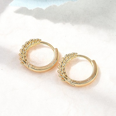 Ring Brass Hoop Earrings EJEW-B148-03G-1