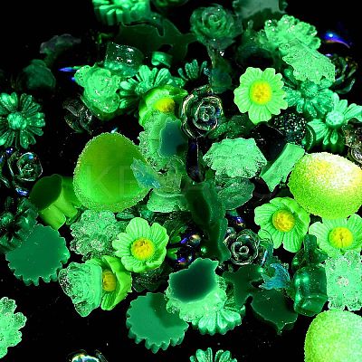 Luminous Opaque Resin Cabochons CRES-U006-01H-1
