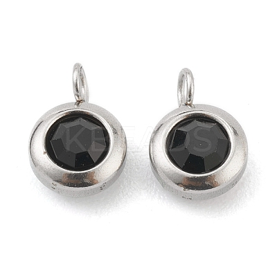 304 Stainless Steel Rhinestone Charms STAS-Z009-04-02P-1