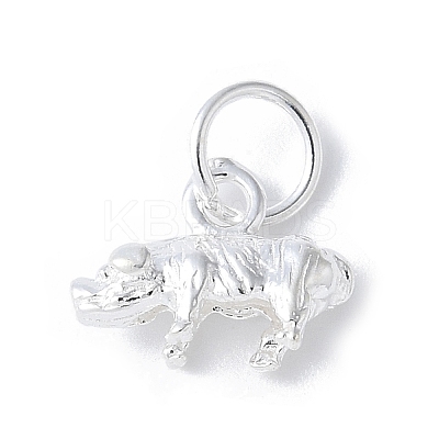 925 Sterling Silver 3D Chinese Zodiac Charms STER-P066-01S-12-1