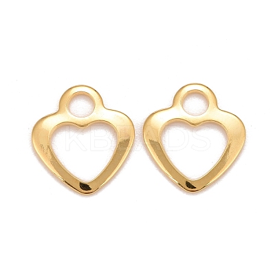 201 Stainless Steel Charms STAS-K217-50A-G-1