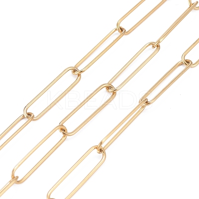 3.28 Feet 304 Stainless Steel Paperclip Chains X-CHS-F011-03A-G-1