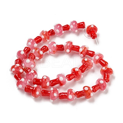 Handmade Lampwork Beads Strands LAMP-N025-03K-1