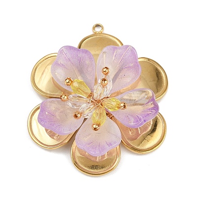 304 Stainless Steel and Acrylic and Plastic Pendants STAS-R170-04G-05-1