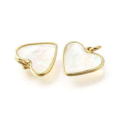 Natural White Shell & Epoxy Resin Charms KK-E794-02G-06-1