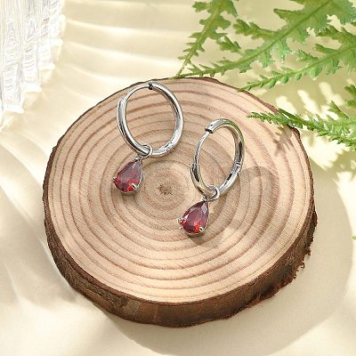 304 Stainless Steel Micro Pave Cubic Zirconia Hoop Earrings STAS-R004-05P-01-1