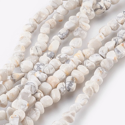 Natural Howlite Chips Beads Strands G365-34-1