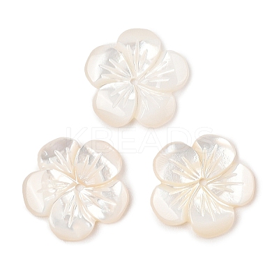 Natural White Shell Carved Beads SSHEL-I026-12F-07-1